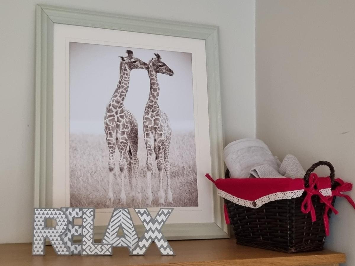 Brooks Homestay Dundalk Dış mekan fotoğraf